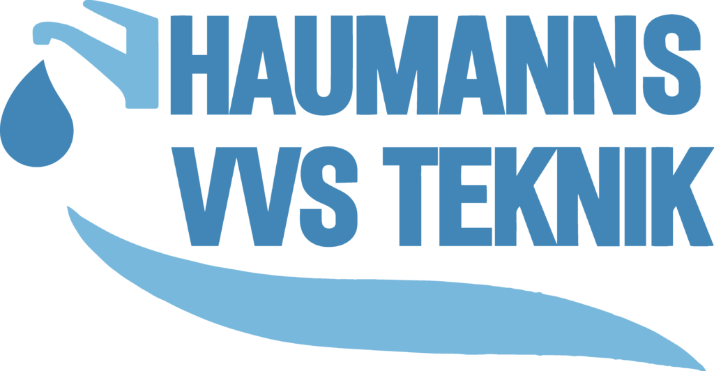 logo haumann